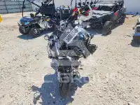 2023 BMW R1250 фото