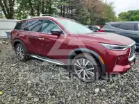 2023 Infinity QX60 фото