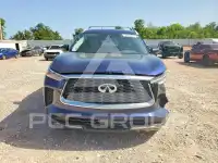 2023 Infinity QX60 photo