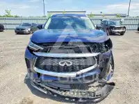2023 Infinity QX60 photo