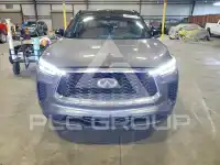2023 Infinity QX60 фото