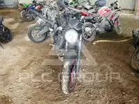 2023 Suzuki SV650 фото