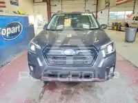 2023 Subaru Forester фото