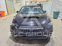 2023 Subaru WRX photo