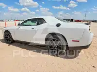 2023 Dodge CHALLENGER фото