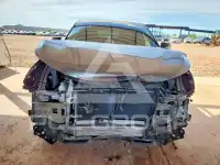 2023 Acura RDX фото