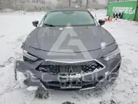 2023 Acura TLX фото