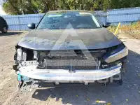 2023 Honda CIVIC photo