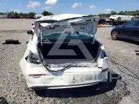 2023 Honda CIVIC photo