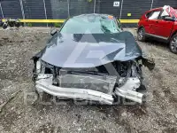 2023 Honda CIVIC фото