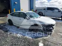 2023 Honda CIVIC photo