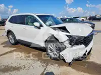 2023 Honda CR-V фото