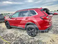 2023 Honda CR-V фото