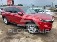 2023 Honda CR-V фото