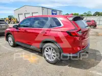 2023 Honda CR-V photo