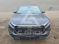 2023 Honda CR-V фото