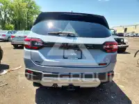 2023 Honda PILOT фото