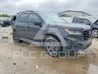 2023 Honda PILOT фото