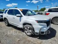 2023 Honda PILOT фото