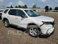 2023 Honda PILOT photo