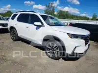2023 Honda PILOT фото