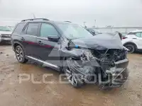 2023 Honda PILOT фото