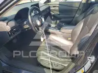 2023 Honda Accord фото
