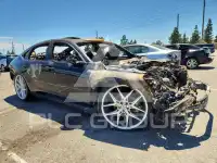 2023 Honda Accord фото