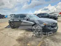 2023 Honda Accord фото