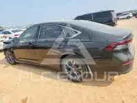 2023 Honda Accord фото