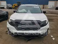 2023 Honda PASSPORT photo