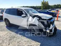 2023 Honda PASSPORT photo