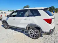 2023 Honda PASSPORT photo