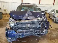 2023 Honda PASSPORT photo