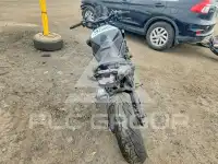 2023 Honda CB фото