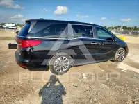 2023 Honda ODYSSEY фото