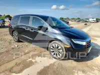 2023 Honda ODYSSEY фото