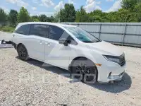 2023 Honda ODYSSEY фото