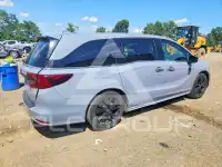 2023 Honda ODYSSEY фото