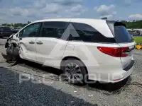 2023 Honda ODYSSEY фото