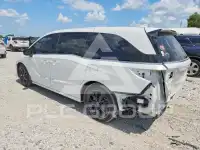 2023 Honda ODYSSEY фото
