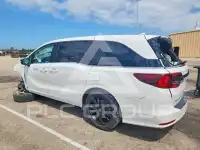 2023 Honda ODYSSEY photo