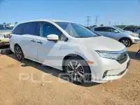 2023 Honda ODYSSEY photo