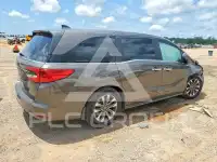 2023 Honda ODYSSEY photo