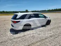 2023 Honda ODYSSEY фото