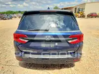 2023 Honda ODYSSEY фото