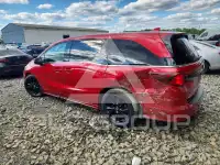 2023 Honda ODYSSEY фото