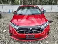 2023 Honda ODYSSEY фото