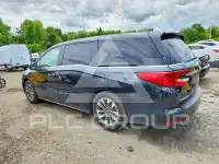2023 Honda ODYSSEY фото