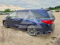 2023 Honda ODYSSEY фото